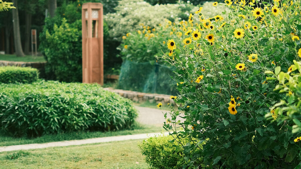 Jardin de maison
