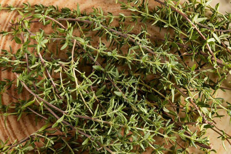 Thym citronné