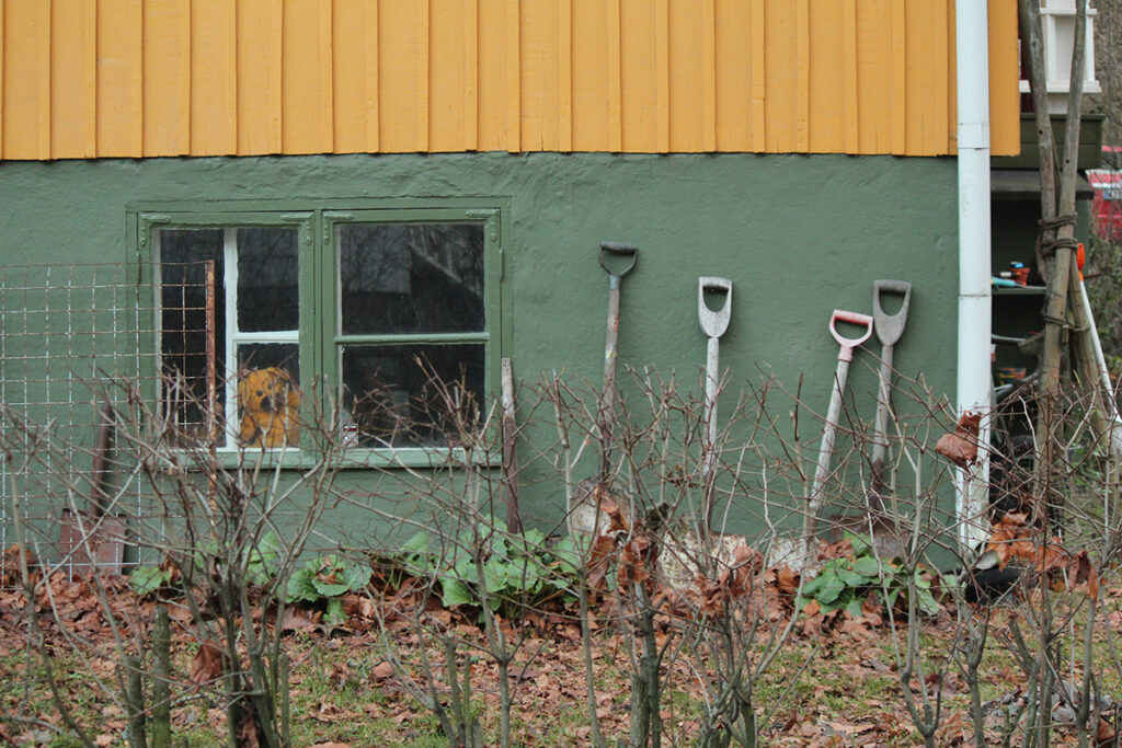 jardin hiver